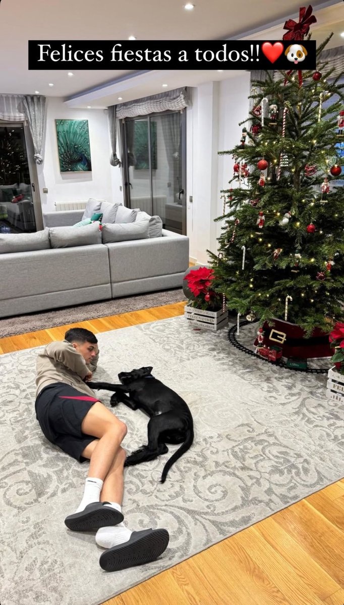 別人曬女友你曬狗，佩德里社媒曬照與愛(ài)犬共度平安夜??</p>
                    </div>

                    <br />
                    <div   id=